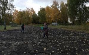 Łąki kwietne (13)