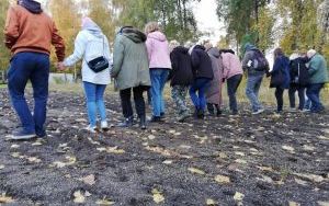 Łąki kwietne (14)