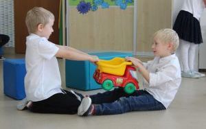  Święto „Pod bławatkiem”  (15)