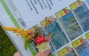 „Mali naukowcy” ze Szkoły Podstawowej nr 46 (5)