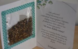 Zdjęcia z otwarcia Zielonej Pracowni w Szkole Podstawowej nr 51 (9)
