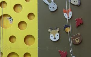 Wielkie otwarcie Centrum Sportów Wspinaczkowych i Siłowych w Bytomiu-Rozbarku (7)
