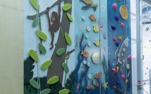 Wielkie otwarcie Centrum Sportów Wspinaczkowych i Siłowych w Bytomiu-Rozbarku (10)