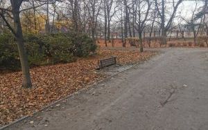 Dewastacja w Parku Kachla (1)