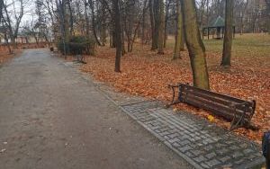 Dewastacja w Parku Kachla (2)
