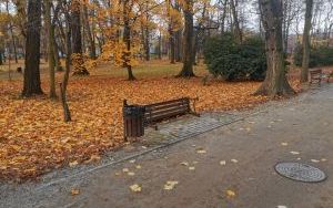 Dewastacja w Parku Kachla (4)