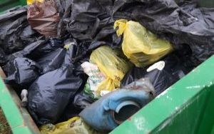  Bytomianie sprzątali Żabie Doły (3)
