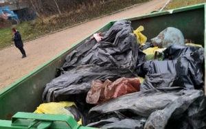  Bytomianie sprzątali Żabie Doły (4)