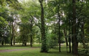 Park Łagiewnicki  (1)