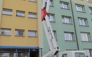Stroszek przyjazny jerzykom (1)
