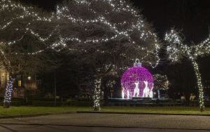Świąteczne iluminacje (5)