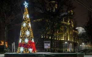 Świąteczne iluminacje (10)