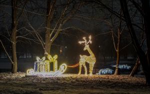 Świąteczne iluminacje (14)