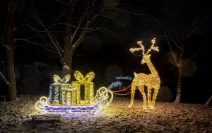 Świąteczne iluminacje (17)