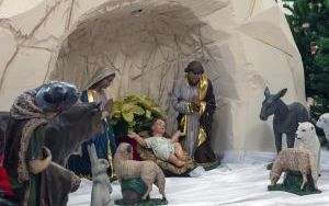 Bożonarodzeniowe szopki w bytomskich kościołach (9)