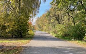 14 lutego rusza przebudowa ulicy Węglowej. Na czas robót przygotowany został objazd (3)