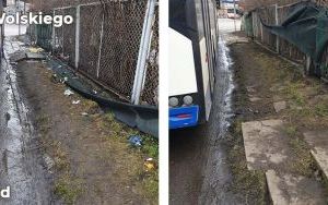 Trwa sprzątanie dzikich wysypisk (5)