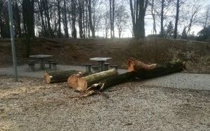Służby miejskie usuwają skutki silnego wiatru (11)