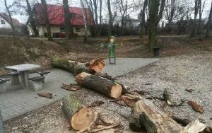 Służby miejskie usuwają skutki silnego wiatru (7)