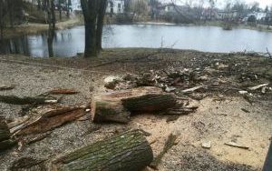 Służby miejskie usuwają skutki silnego wiatru (16)