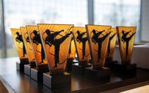Karate opanowało Bytom (1)