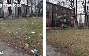 Kolejne dzikie wysypiska zlikwidowane (10)