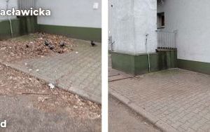 Kolejne dzikie wysypiska zlikwidowane (11)