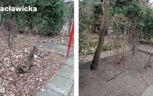 Kolejne dzikie wysypiska zlikwidowane (8)