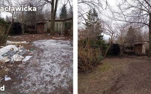 Kolejne dzikie wysypiska zlikwidowane (9)