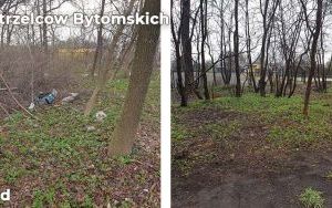 Trwa likwidacja dzikich wysypisk w Bytomiu (2)