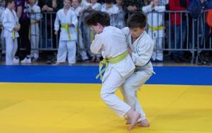 International Judo League (10)
