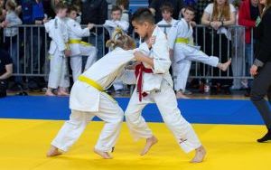 International Judo League (3)