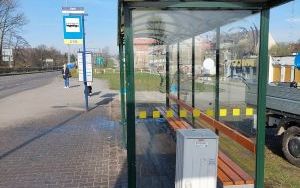 Wiosenne sprzątanie miasta  (2)