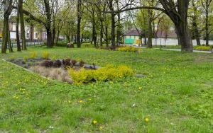 W Szombierkach odbyło się uroczyste otwarcie skweru imienia Joanny Gryzik-Schaffgotsch  (10)