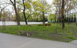 W Szombierkach odbyło się uroczyste otwarcie skweru imienia Joanny Gryzik-Schaffgotsch  (12)