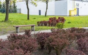 W Szombierkach odbyło się uroczyste otwarcie skweru imienia Joanny Gryzik-Schaffgotsch  (13)
