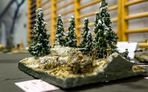 Festiwal Modeli Redukcyjnych  (2)