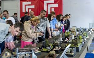 Festiwal Modeli Redukcyjnych  (4)