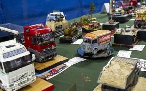 Festiwal Modeli Redukcyjnych  (7)