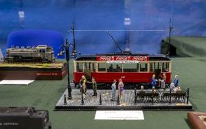 Festiwal Modeli Redukcyjnych  (9)