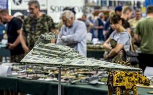 Festiwal Modeli Redukcyjnych  (11)