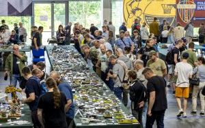 Festiwal Modeli Redukcyjnych  (13)