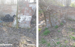 Trwa likwidacja kolejnych dzikich wysypisk w Bytomiu (1)