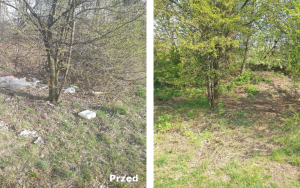 Trwa likwidacja kolejnych dzikich wysypisk w Bytomiu (2)