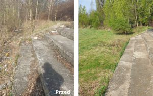 Trwa likwidacja kolejnych dzikich wysypisk w Bytomiu (5)