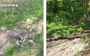 Trwa likwidacja kolejnych dzikich wysypisk w Bytomiu (8)