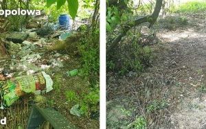 Trwa likwidacja kolejnych dzikich wysypisk w Bytomiu (17)