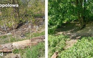 Trwa likwidacja kolejnych dzikich wysypisk w Bytomiu (9)
