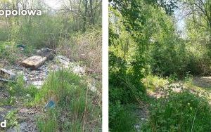 Trwa likwidacja kolejnych dzikich wysypisk w Bytomiu (10)