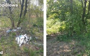 Trwa likwidacja kolejnych dzikich wysypisk w Bytomiu (11)
